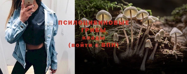 трава Алексеевка